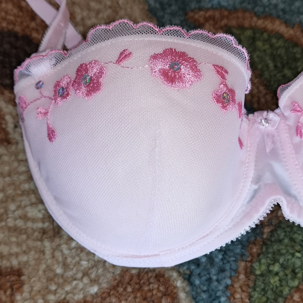 Rene Rofe Pink Bra - Picture 5 of 9